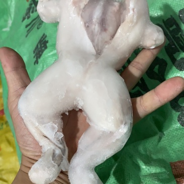 牛蛙肉活杀整只牛蛙，单冻美蛙整只，大中小规格都有