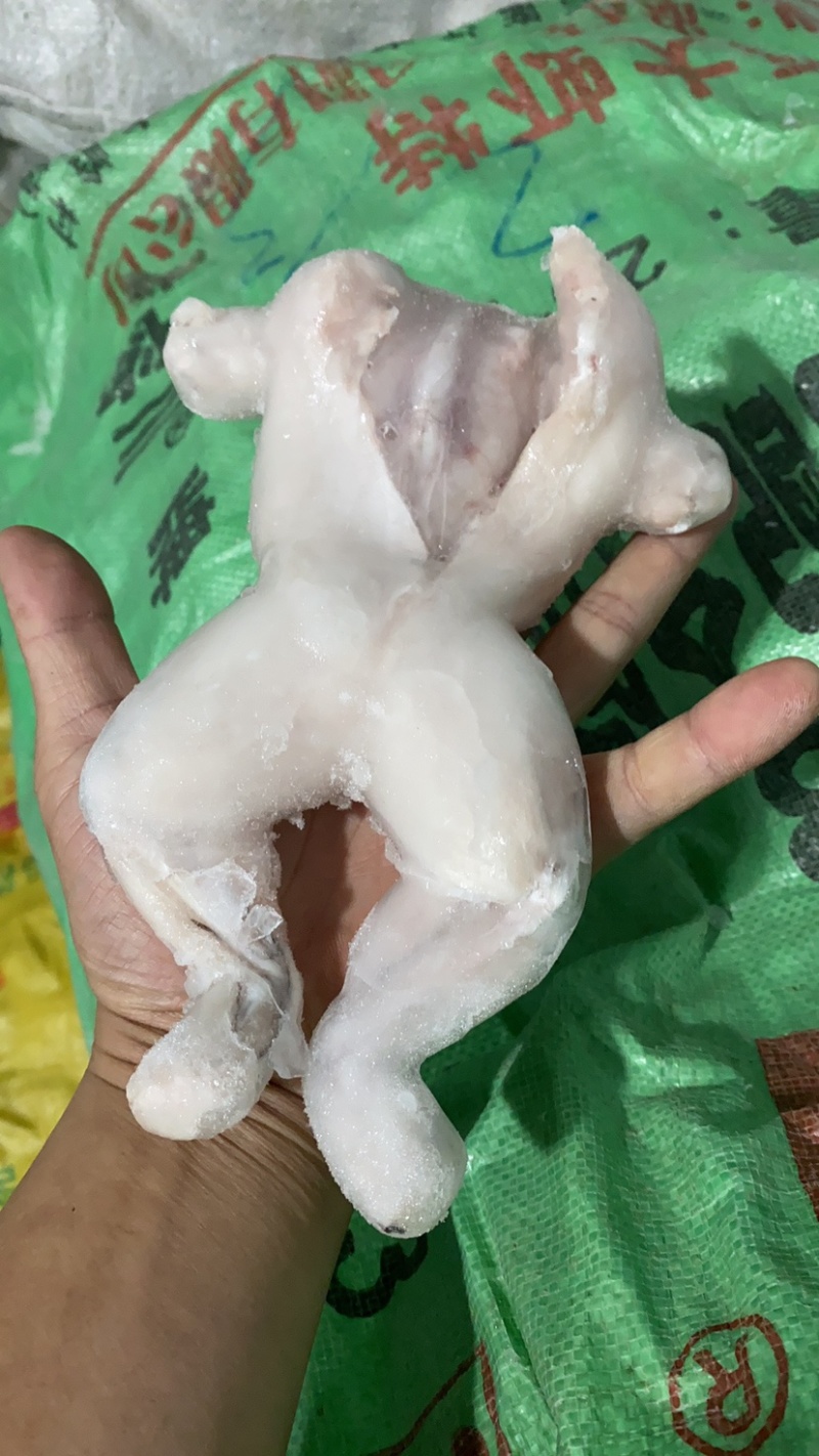 牛蛙肉活杀整只牛蛙，单冻美蛙整只，大中小规格都有