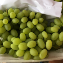 精品维多利亚葡萄