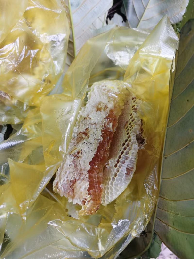 热销云南文山深山老林土蜂蜜