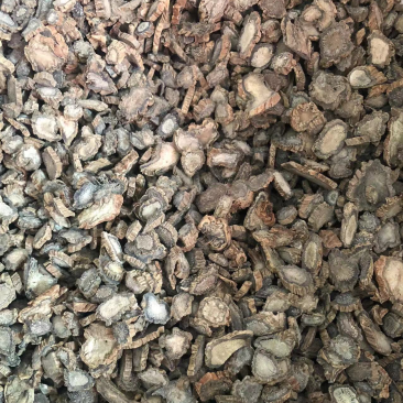 续断，川断，药典标准片，基地直销十斤包邮