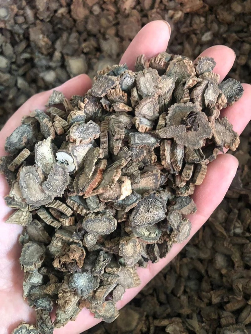续断，川断，药典标准片，基地直销十斤包邮