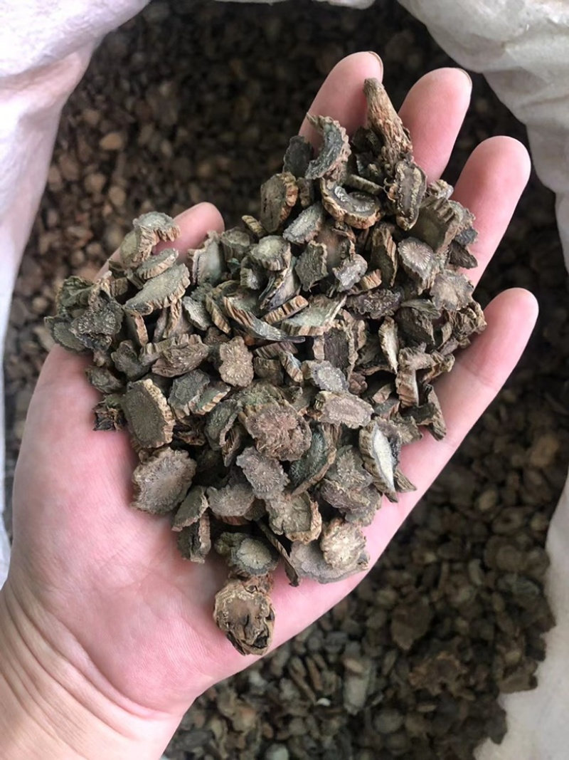 续断，川断，药典标准片，基地直销十斤包邮