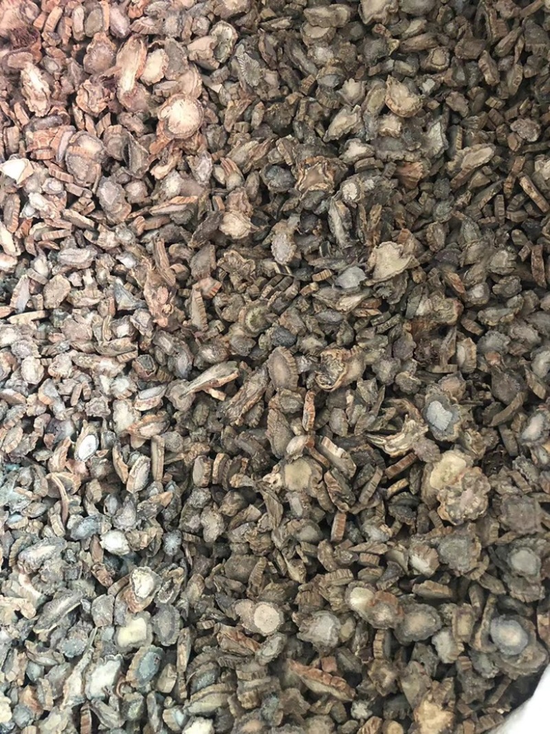 续断，川断，药典标准片，基地直销十斤包邮
