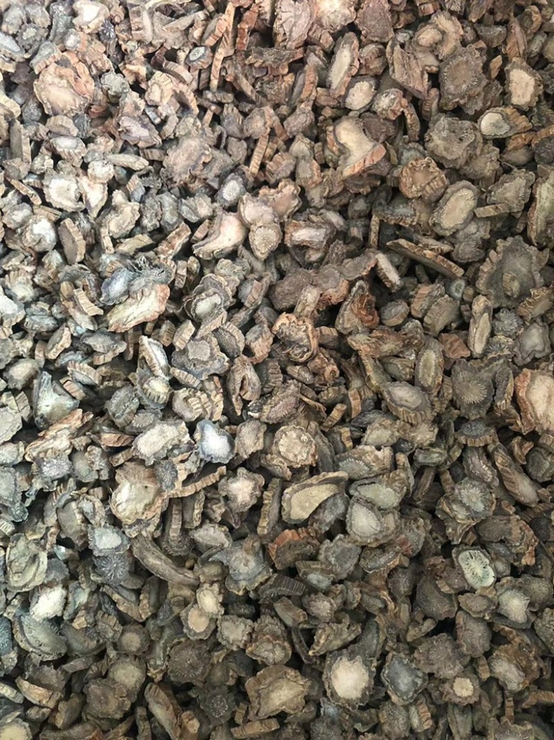 续断，川断，药典标准片，基地直销十斤包邮
