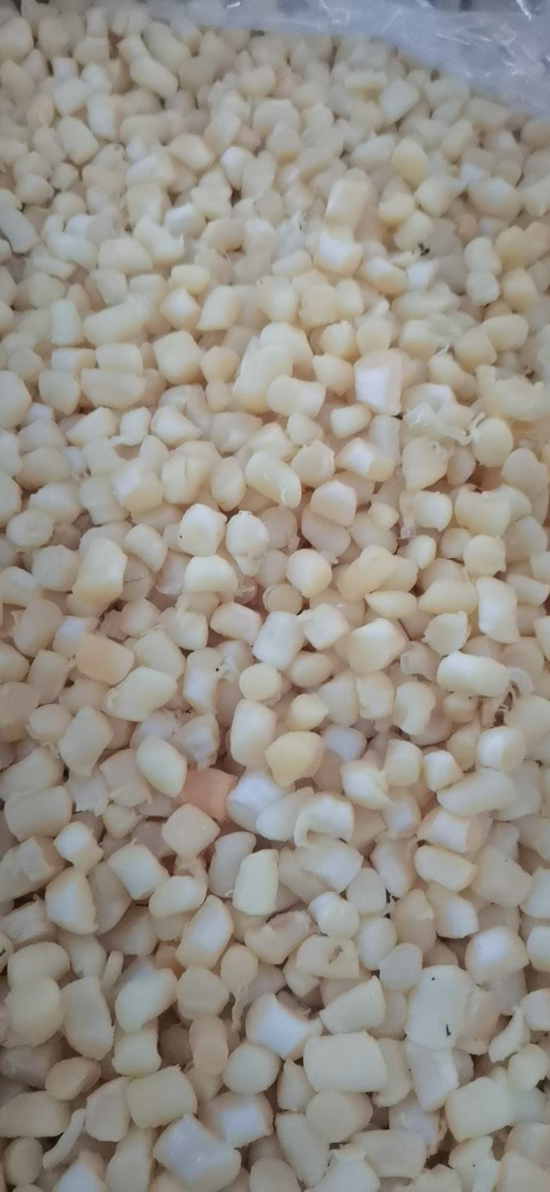 干贝元贝扇贝柱扇贝肉大量批发价格实惠量大从优！！