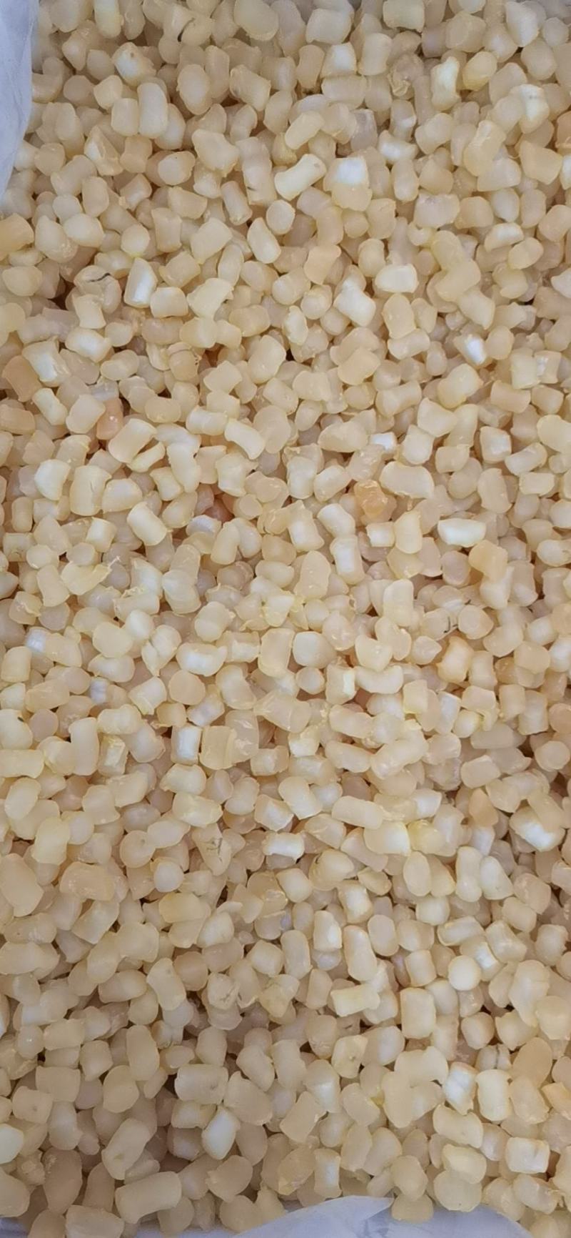 干贝元贝扇贝柱扇贝肉大量批发价格实惠量大从优！！
