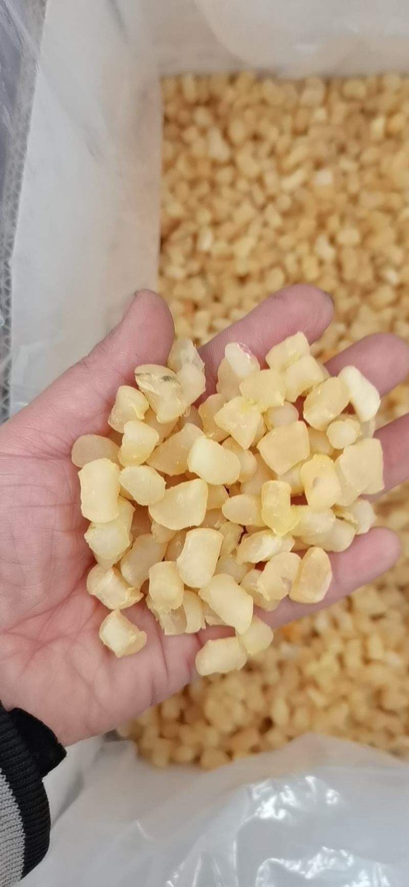 干贝元贝扇贝柱扇贝肉大量批发价格实惠量大从优！！