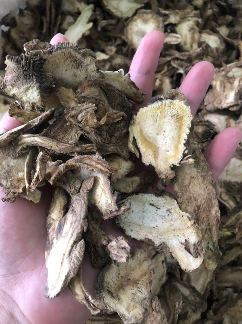 独活，药典标准，产地一手货源，十斤包邮。
