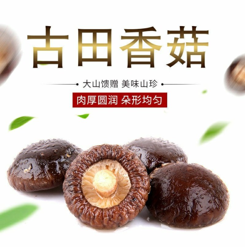 干香菇干货散装商用特级非野生蘑菇小香菇脚冬菇花菇菌包邮