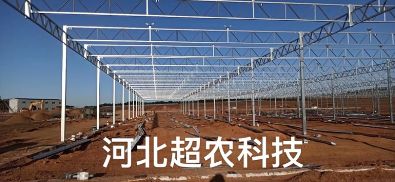 供应玻璃温室，阳光板温室，薄膜温室，日光温室，春秋大棚