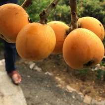 金沙江