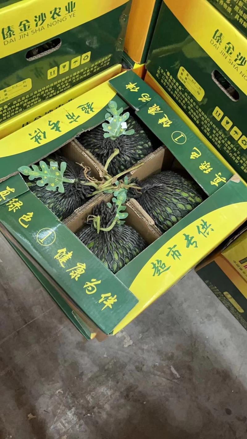 【荐】精品西瓜美都无籽西瓜大量有货质量保证欢迎咨询