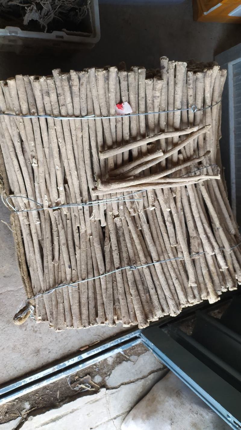甘肃岷县黄芪片主根条切制，优质北芪切片无硫原装货产地直供