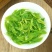 2022遂川狗牯脑茶特级250g早春炒青手工绿茶散装