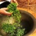 2022遂川狗牯脑茶特级250g早春炒青手工绿茶散装