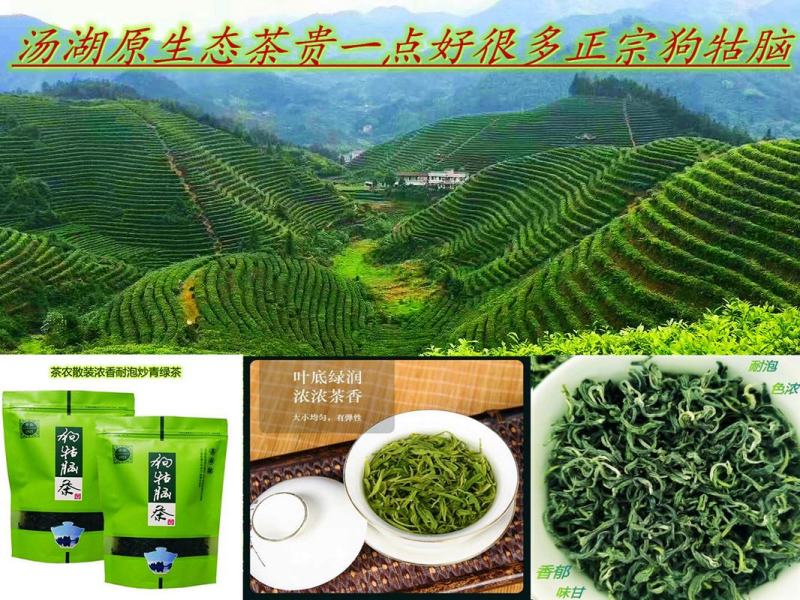 2022遂川狗牯脑茶特级250g早春炒青手工绿茶散装