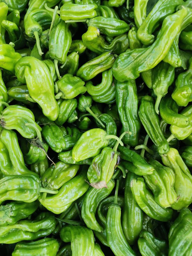 鲜辣椒，