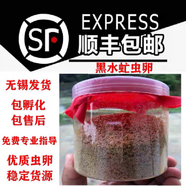 常年出售黑水虻虫卵包质量包售后