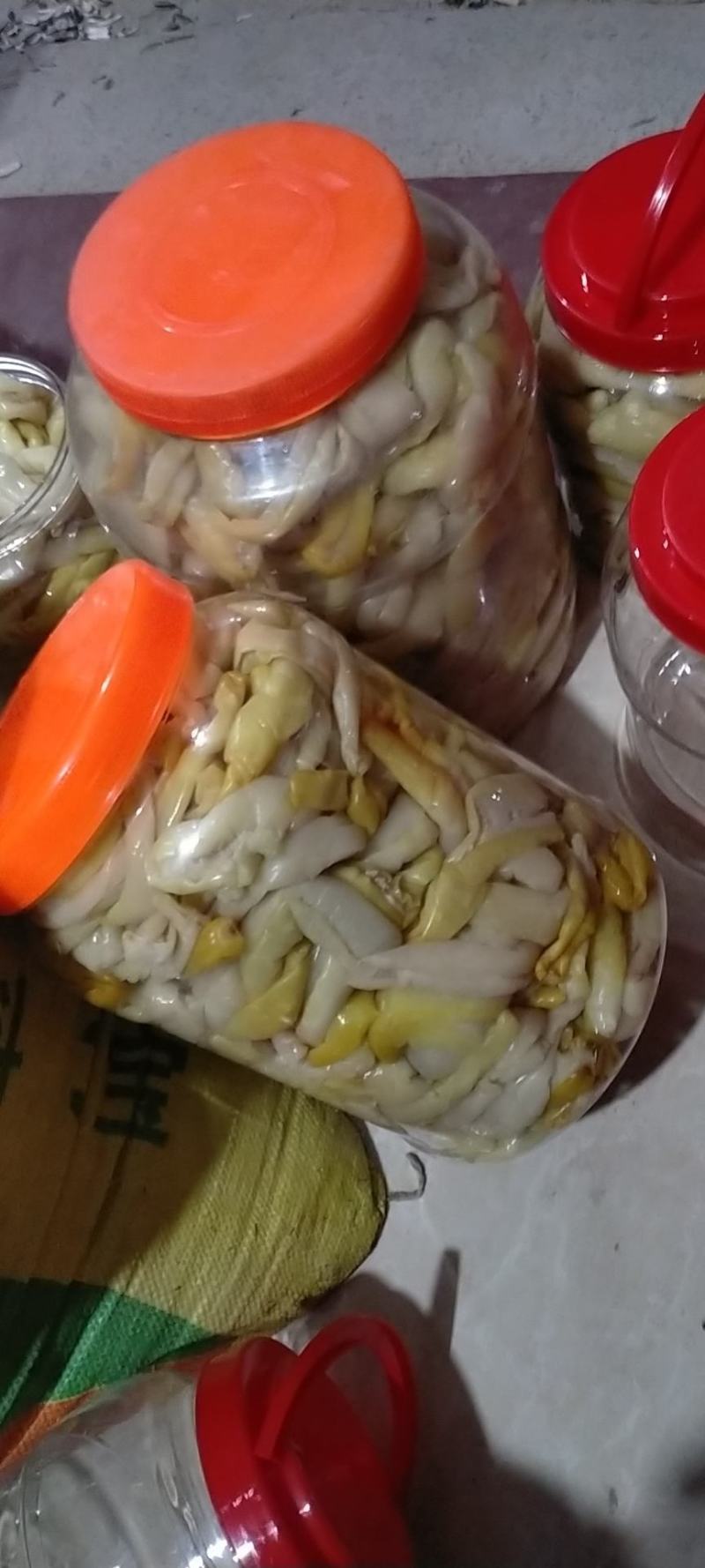 博白三滩瓜皮