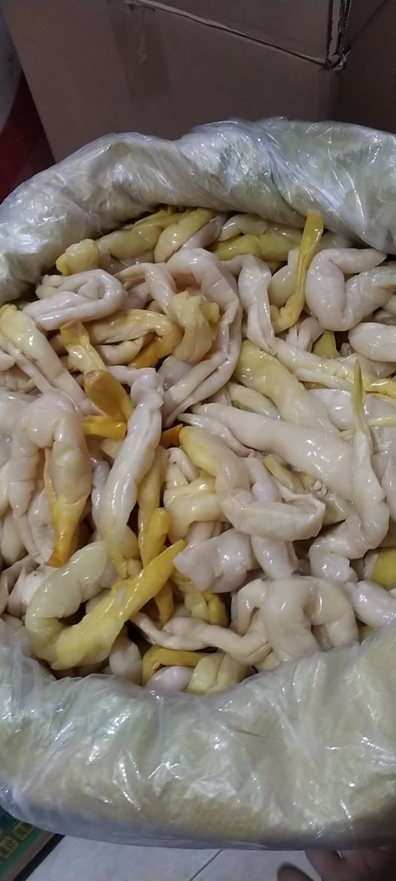 博白三滩瓜皮