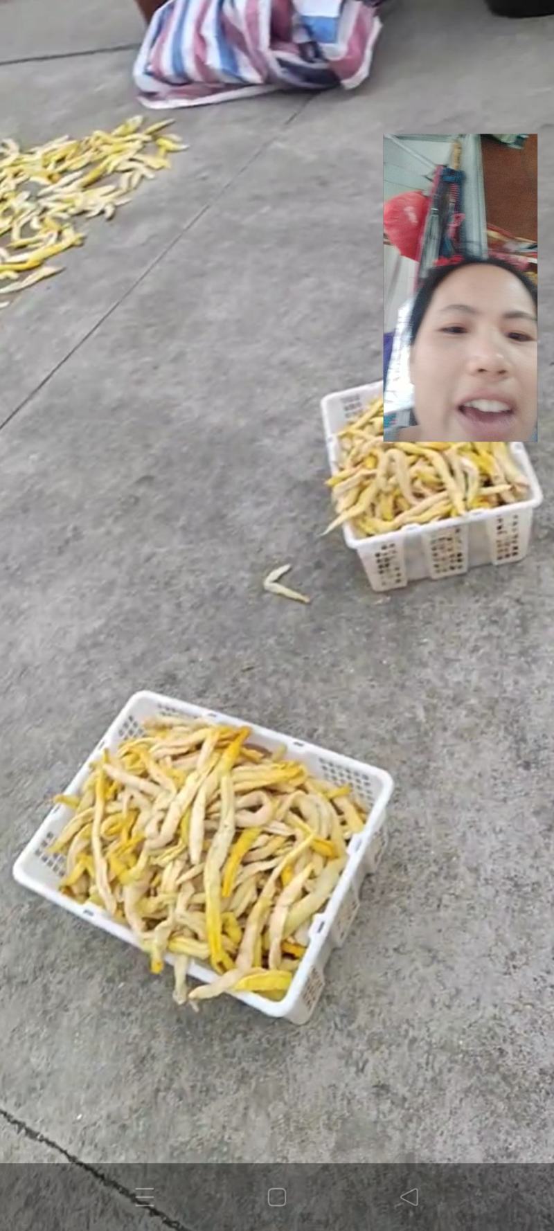 博白三滩瓜皮