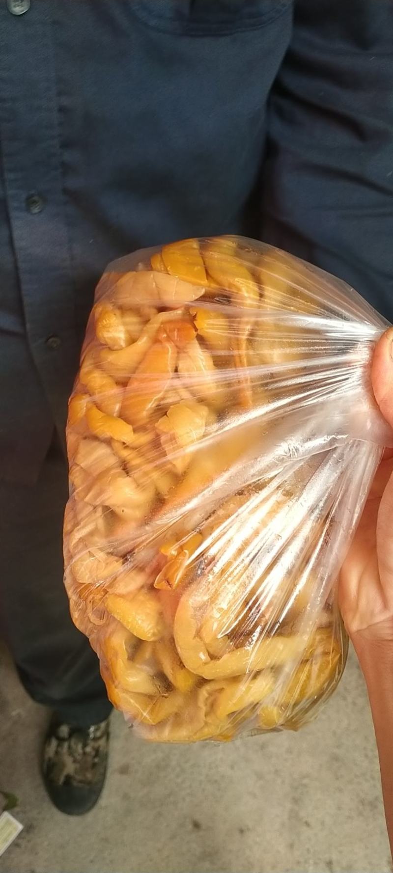 博白三滩瓜皮