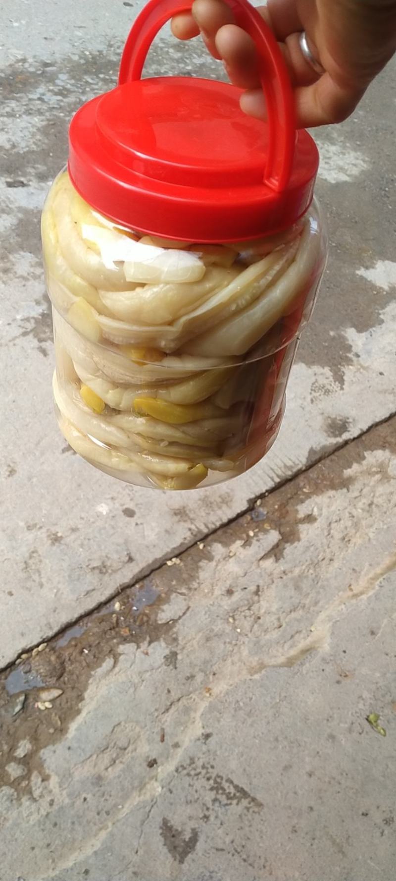 博白三滩瓜皮
