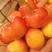 黄蜜樱桃超甜口感现摘现发产地现货保证质量