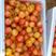 黄蜜樱桃超甜口感现摘现发产地现货保证质量
