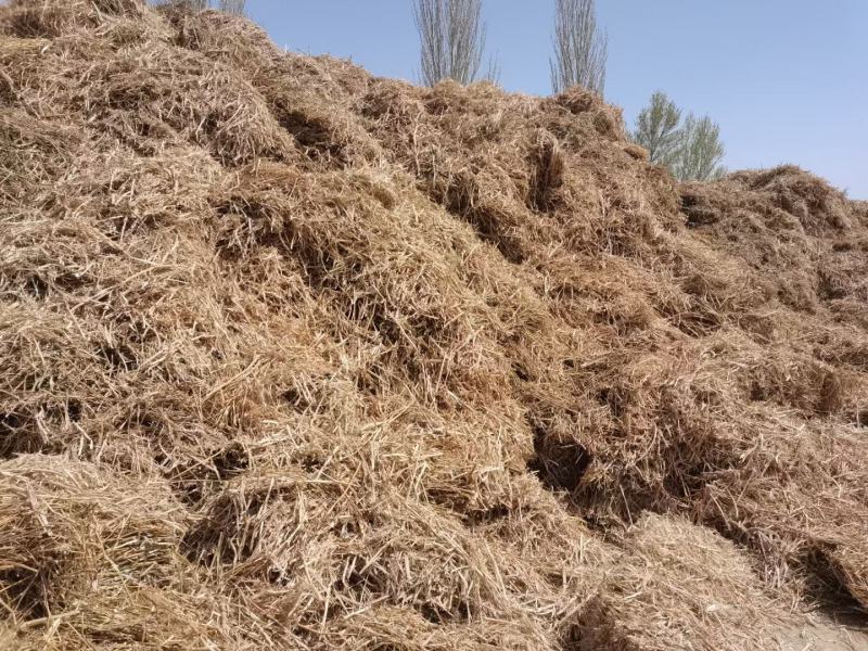 花卉牧草批发甘肃花卉草批发基地喂牛喂羊好饲草花卉草甘肃货