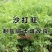 沙打旺种子多年生牧草四季绿肥防沙固土护坡耐寒耐旱