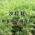 沙打旺种子多年生牧草四季绿肥防沙固土护坡耐寒耐旱