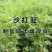 沙打旺种子多年生牧草四季绿肥防沙固土护坡耐寒耐旱