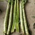 精品莴笋杆子大量供应，基地代发，可供加工厂，电商，食堂