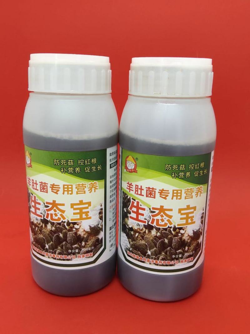 山东盛达菌业供应羊肚菌菌种，及菌需物资，免费包教包销。