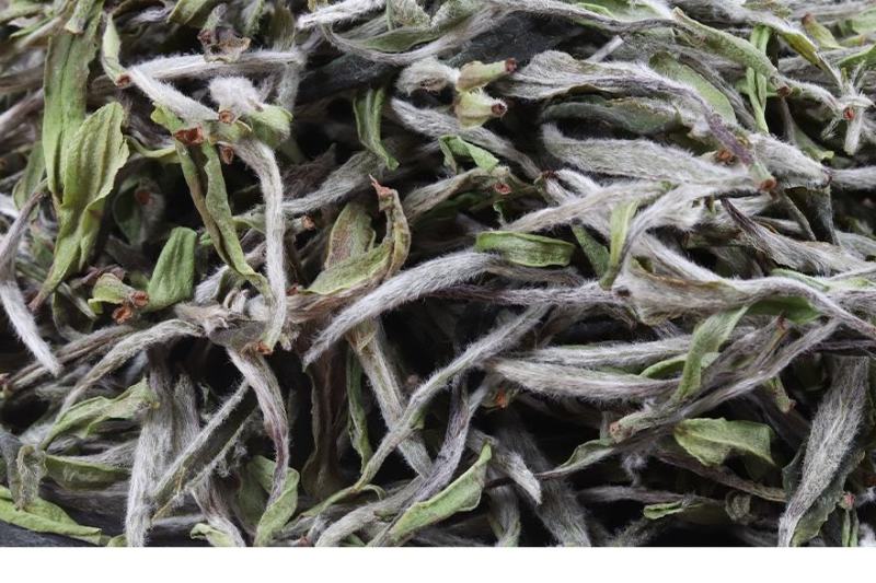 福鼎白茶2022年太姥荒野牡丹王老茶树抛茶500克