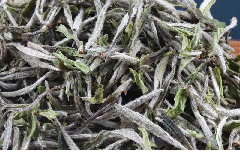 福鼎白茶2022年太姥荒野牡丹王老茶树抛茶500克