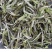 福鼎白茶2022年太姥荒野牡丹王老茶树抛茶500克