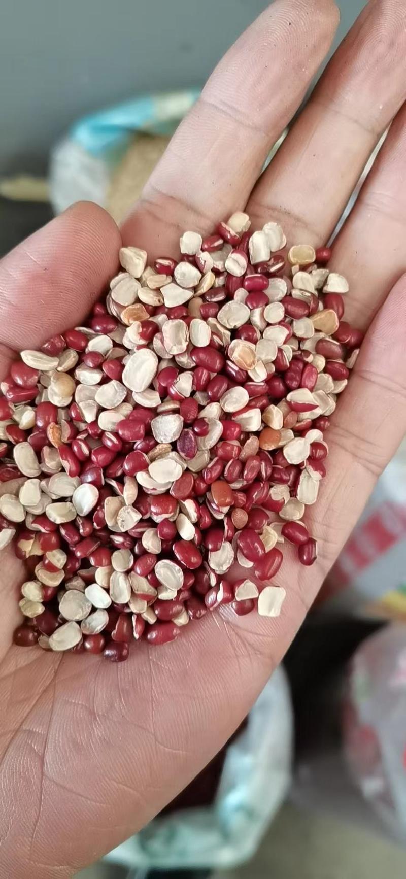 红豆掰，红小豆豆沙馅原料五谷杂粮袋装50斤