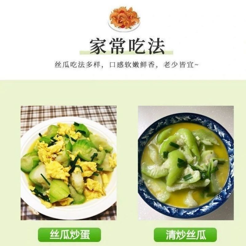 河南农家丝瓜短棒肉丝瓜现摘孕妇下奶营养应季新鲜蔬菜包邮