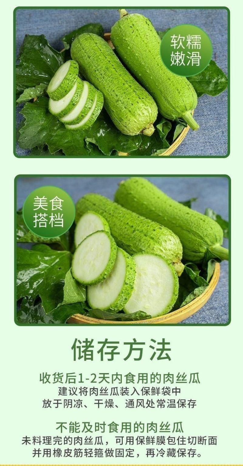 河南农家丝瓜短棒肉丝瓜现摘孕妇下奶营养应季新鲜蔬菜包邮