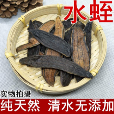 水蛭干中药材蚂蝗金钱宽体水蛭支持线上交易