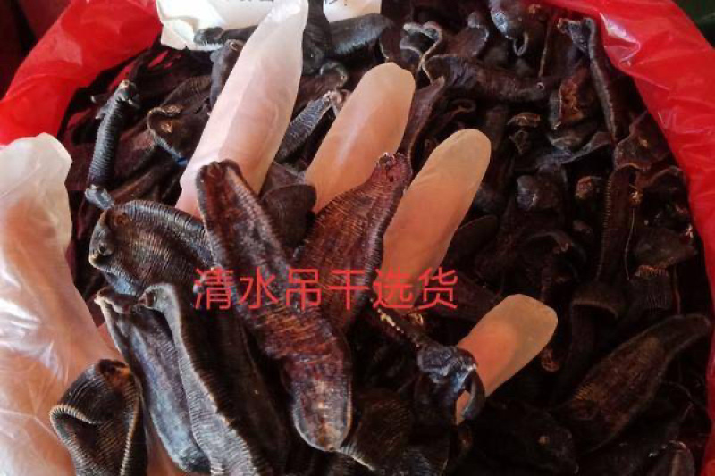 水蛭干中药材蚂蝗金钱宽体水蛭支持线上交易