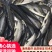 重庆市潼南淡水养殖场欢迎各位老板前来光临
