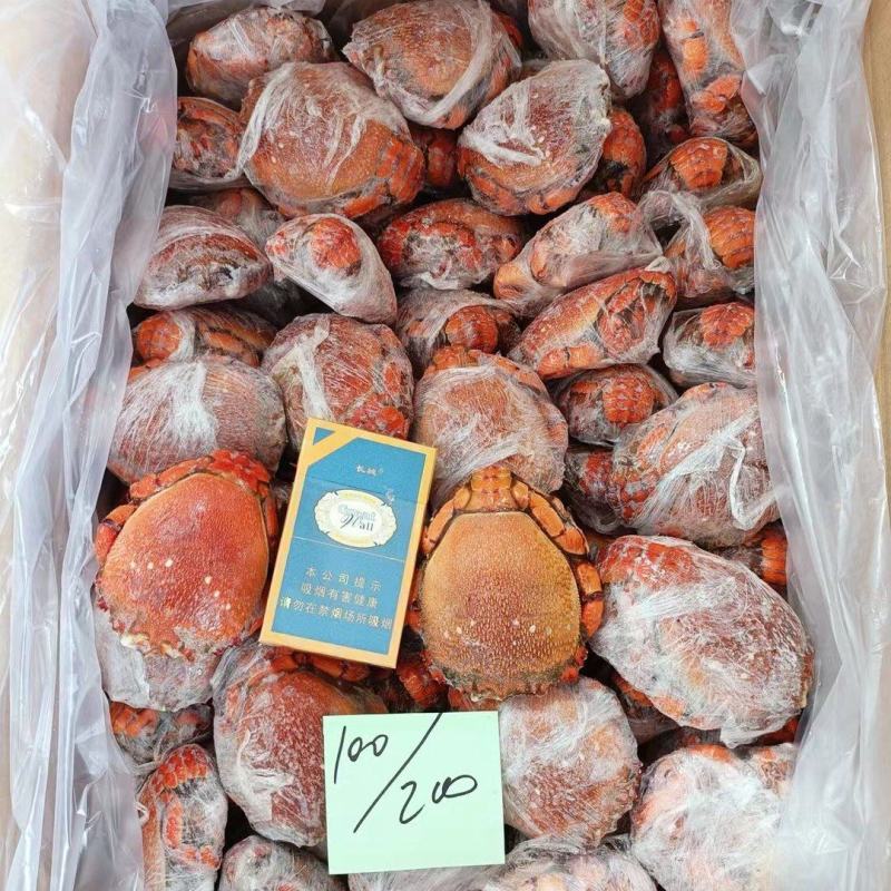 老虎蟹虎头蟹贵妃蟹旭蟹一只300-400克新