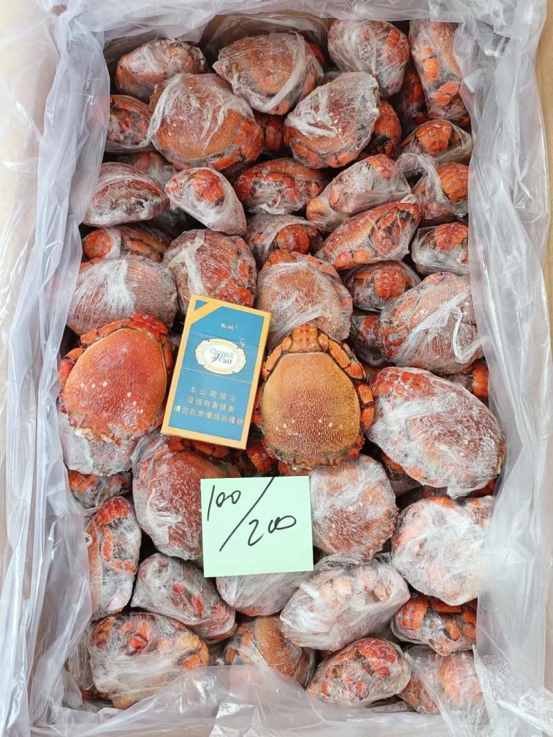 老虎蟹虎头蟹贵妃蟹旭蟹一只300-400克新