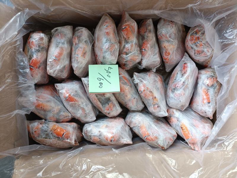 老虎蟹虎头蟹贵妃蟹旭蟹一只300-400克新