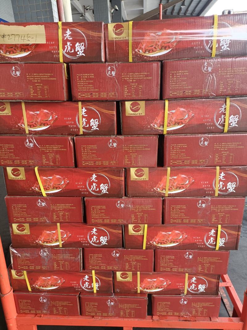 老虎蟹虎头蟹贵妃蟹旭蟹一只300-400克新