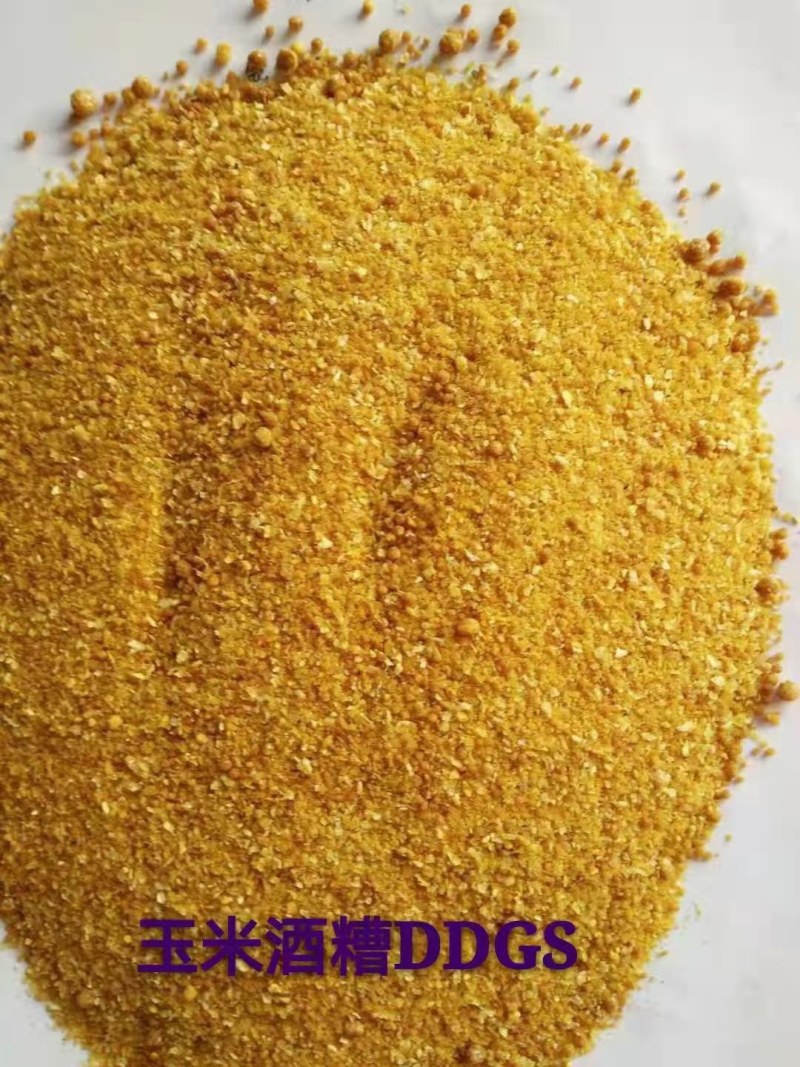 烘干玉米蛋白饲料蛋白26-28一手货源量大从优